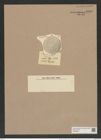 Coscinodiscus decrescens var. polaris Grun. (de-Toni-Nr.: Genus 202, Species 4989) Zeichnungen Sammlung Grunow Nr. 8702 (NHMW-BOT-W0378268)